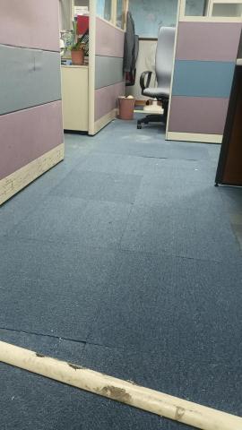 新和家飾 - 地毯施作