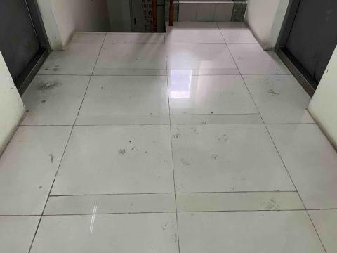 林秋蘭 - 清潔前