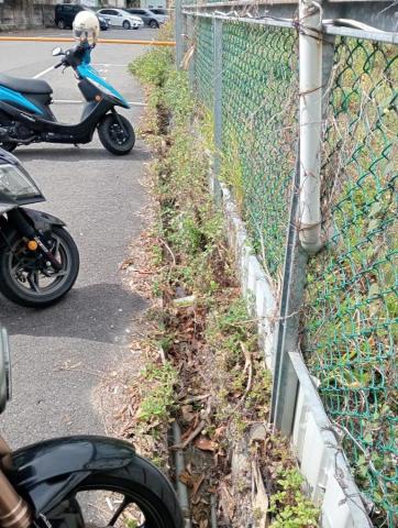 王東明 - 自由停車場除草、水溝清潔前 王東明 - 自由停車場除草、水溝清潔前