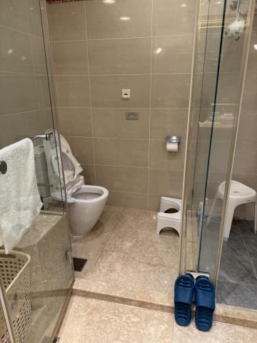 Chen Seiko - 私人豪宅盥洗室完成照片