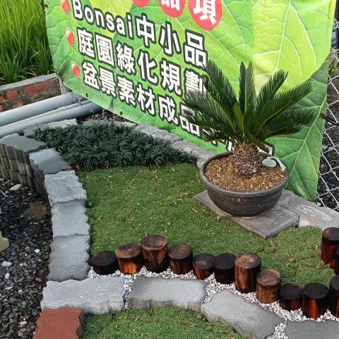 提供陽台服務的專家松果園藝