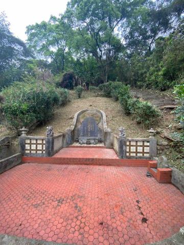 🪽森羽園藝 - 清明時分除草服務