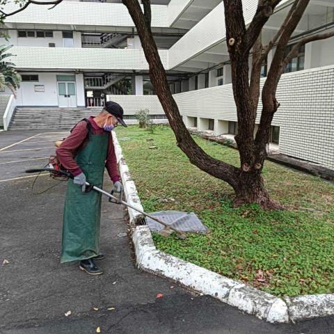 菖曜園藝 - 草皮修剪