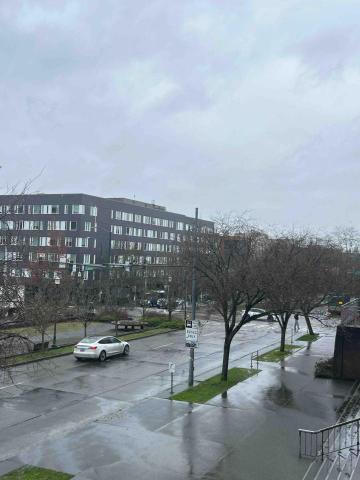 Ashlyn - 華盛頓大學