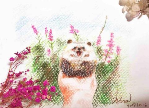 陳億瑄 - 小刺蝟