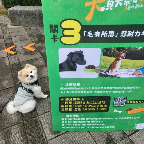 麥麥 - 小狗闖關拿禮物囉