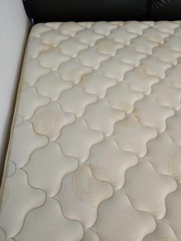 剋蟎博士 - 污漬、發霉處理後