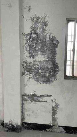 劉澤遠 - 牆面壁癌處理前