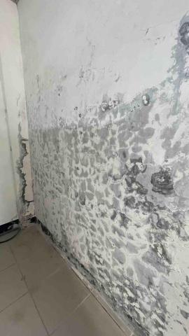 劉澤遠 - 牆面壁癌處理處理前