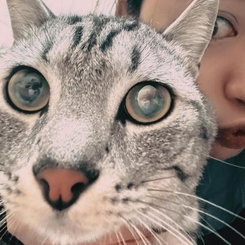 提供按讚分享服務的專家你說我寫