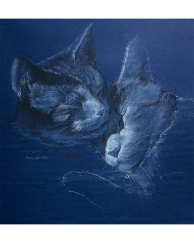 Han studio  邱柏翰 - 深色基礎色的貓咪，以藍色紙張為底，用白色色鉛筆輕柔地刻畫出貓咪細膩的輪廓和柔和的光影變化，展現了單色調繪畫的魅力，適合剛接觸素描畫的朋友們練習規劃明暗跟形狀。

想要學習怎麼畫出自己心愛的貓咪嗎？跟著我一步步來吧