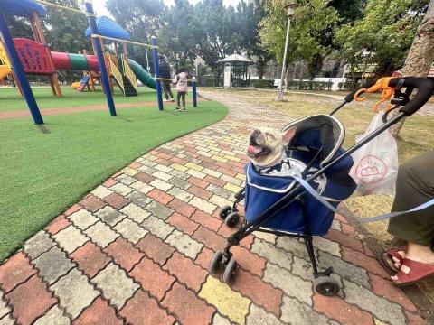 aJu 寵物到府保姆 - 