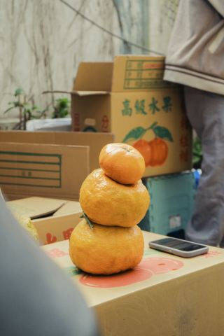 Matsuko - 靜物拍攝，街拍。