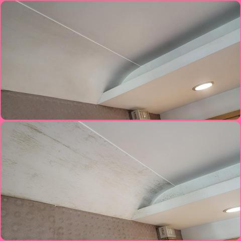 管家式居家清潔 - 天花板除黴