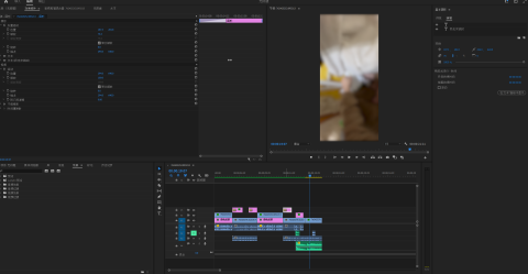 Lee Xavier - 使用Premiere專業剪輯軟體