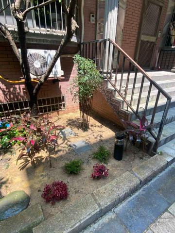 🪽森羽園藝 - 花卉種植及櫻花樹修剪