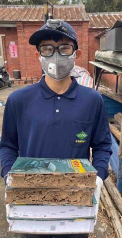 洛克病媒防治 - 住家白蟻防治服務