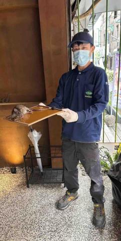 洛克病媒防治 - 餐飲業消毒和除鼠服務