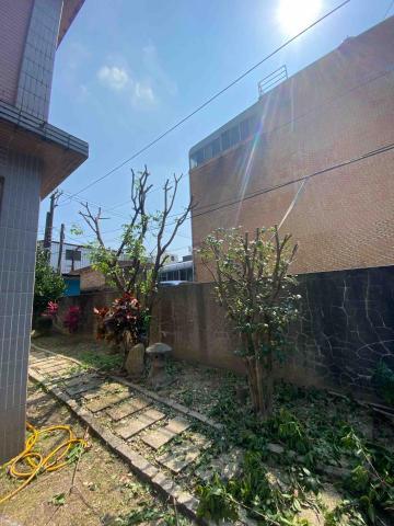 🪽森羽園藝 - 樹木修剪矮化