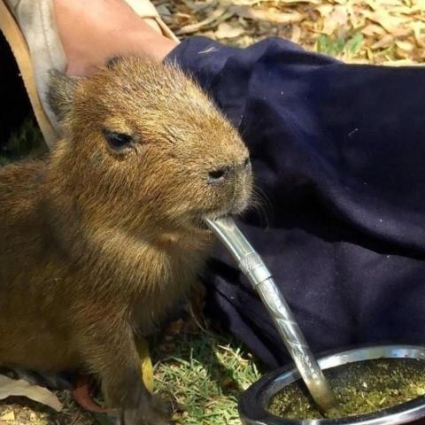 提供n3服務的專家屑屑去彩券倉庫哭