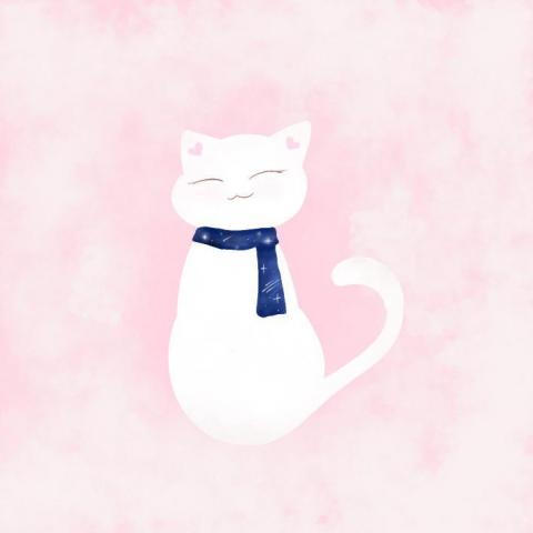 提供短髮燙髮尾服務的專家九尾