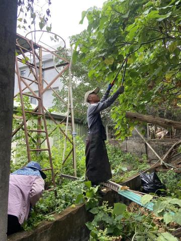 長春樹園藝企業社 - 