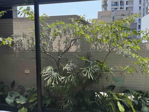 太杉 景観園芸所 エンゲイショ - 戶外玻璃屋維護工程