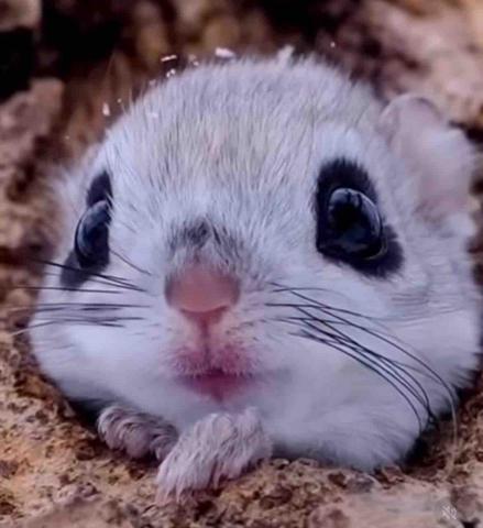 提供內湖晚餐外送服務的專家Fanny