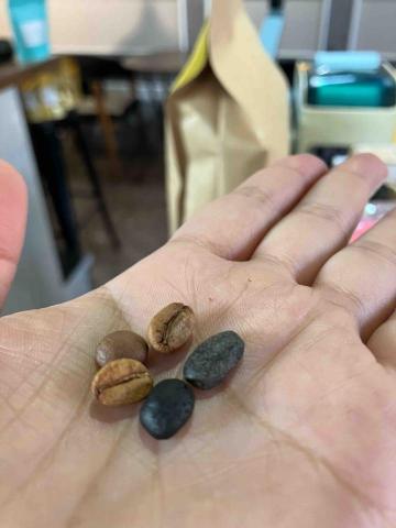 Jessica的咖啡教室 - 解析咖啡豆