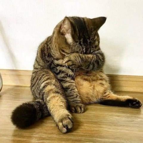 提供在家裡上班服務的專家李宏全