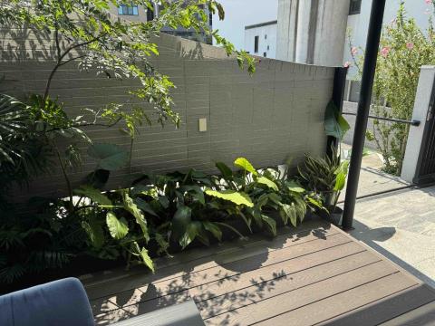 太杉 景観園芸所 エンゲイショ - 玻璃屋水耕植物區