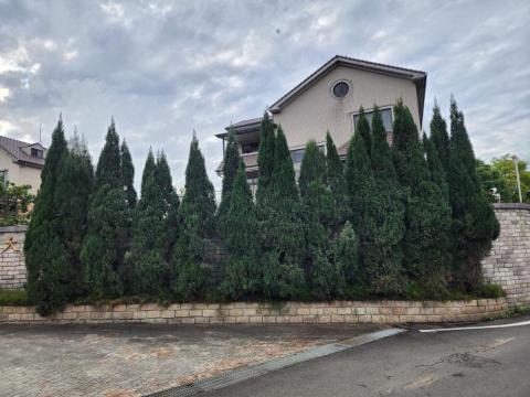 玘町臻園藝 - 豪宅大門口改變造型前