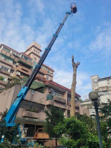 于森園藝企業社 （林先生） - 喬木吊車移除