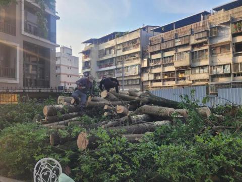 于森園藝企業社 （林先生） - 社區樹木移除