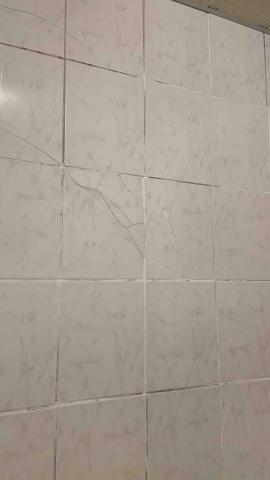 螢火蟲 - 磁磚修補