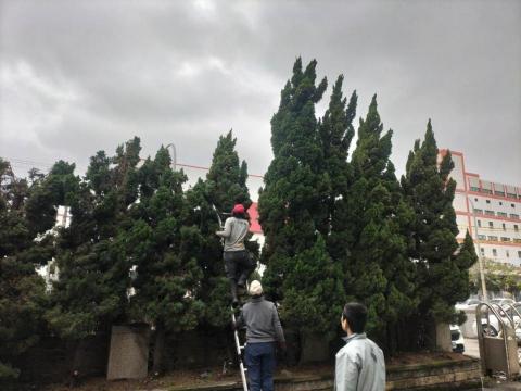 于森園藝企業社 （林先生） - 