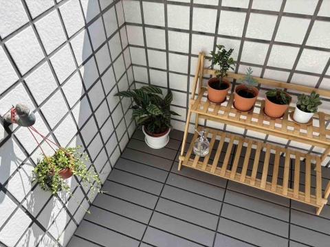 林蓉🌟鋼琴｜kb｜單簧管教學 - 工作室可愛植物們