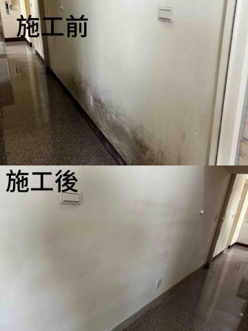 秉秉 聯繫前麻煩看介紹~~ - 因牆壁太髒而重新油漆 秉秉 聯繫前麻煩看介紹~~ - 因牆壁太髒而重新油漆