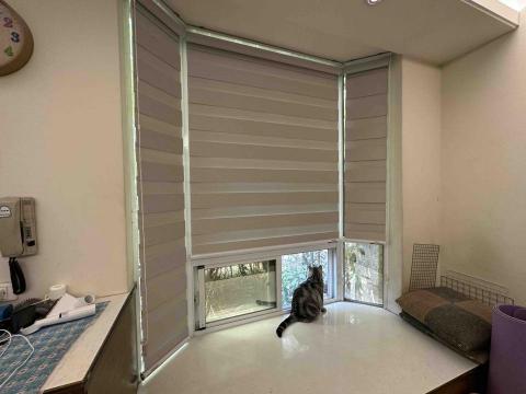 多格窗簾 - 調光簾 八角窗 多格窗簾 - 調光簾 八角窗