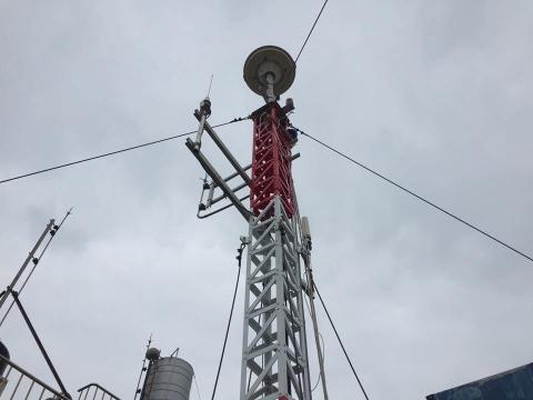 沈巧彣 -  沈巧彣 -