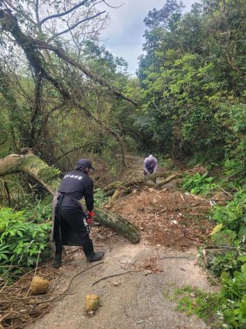 于森園藝企業社 （林先生） - 山區道路倒樹移除