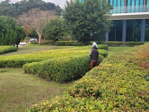 于森園藝企業社 （林先生） - 大型園區園藝維護