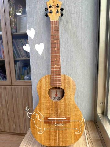 🎵 Musical鋼琴烏克麗麗工作室|預約制 - 日本買的烏克麗麗 🎵 Musical鋼琴烏克麗麗工作室|預約制 - 日本買的烏克麗麗