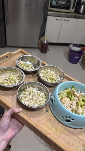 林慧宜 - 寵物鮮食製作、餵食