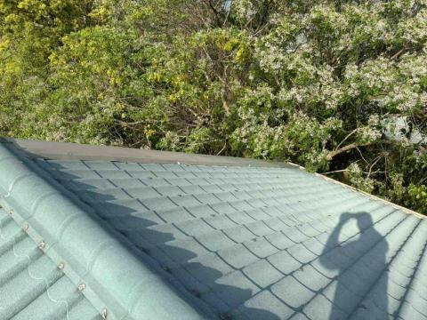 邱小姐 - 鐵皮屋簷裝修