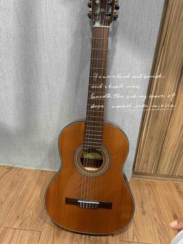 🎵 Musical鋼琴烏克麗麗工作室|預約制 - 古典吉他 🎵 Musical鋼琴烏克麗麗工作室|預約制 - 古典吉他