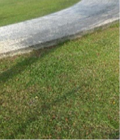 植物圖鑑有限公司 - 草皮修剪