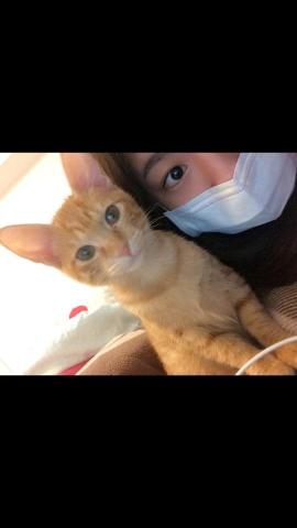 毛孩好鄰居Tina - 