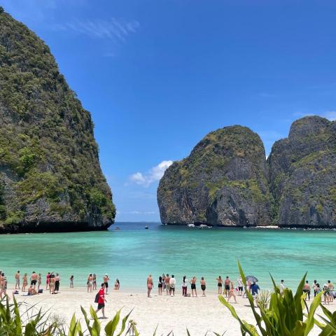 提供除蟎服務的專家吳上志