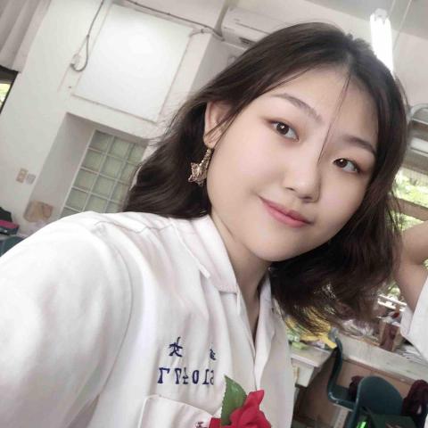 提供數學教學服務的專家陳恩榕